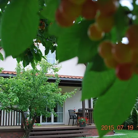 Vila Joana Palanga Exterior photo